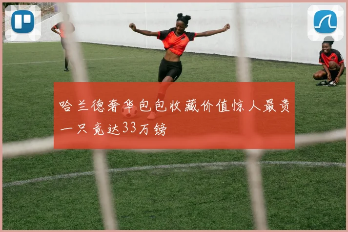 哈兰德奢华包包收藏价值惊人最贵一只竟达33万镑