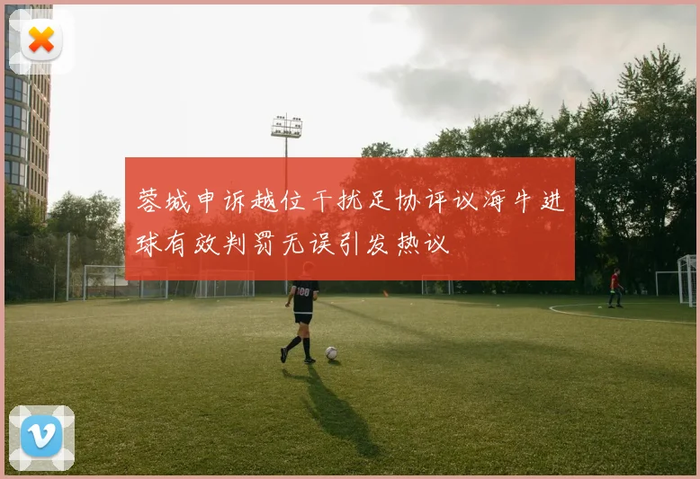 蓉城申诉越位干扰足协评议海牛进球有效判罚无误引发热议