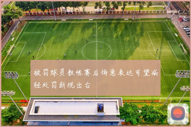 被罚球员教练赛后悔意表达可望减轻处罚新规出台